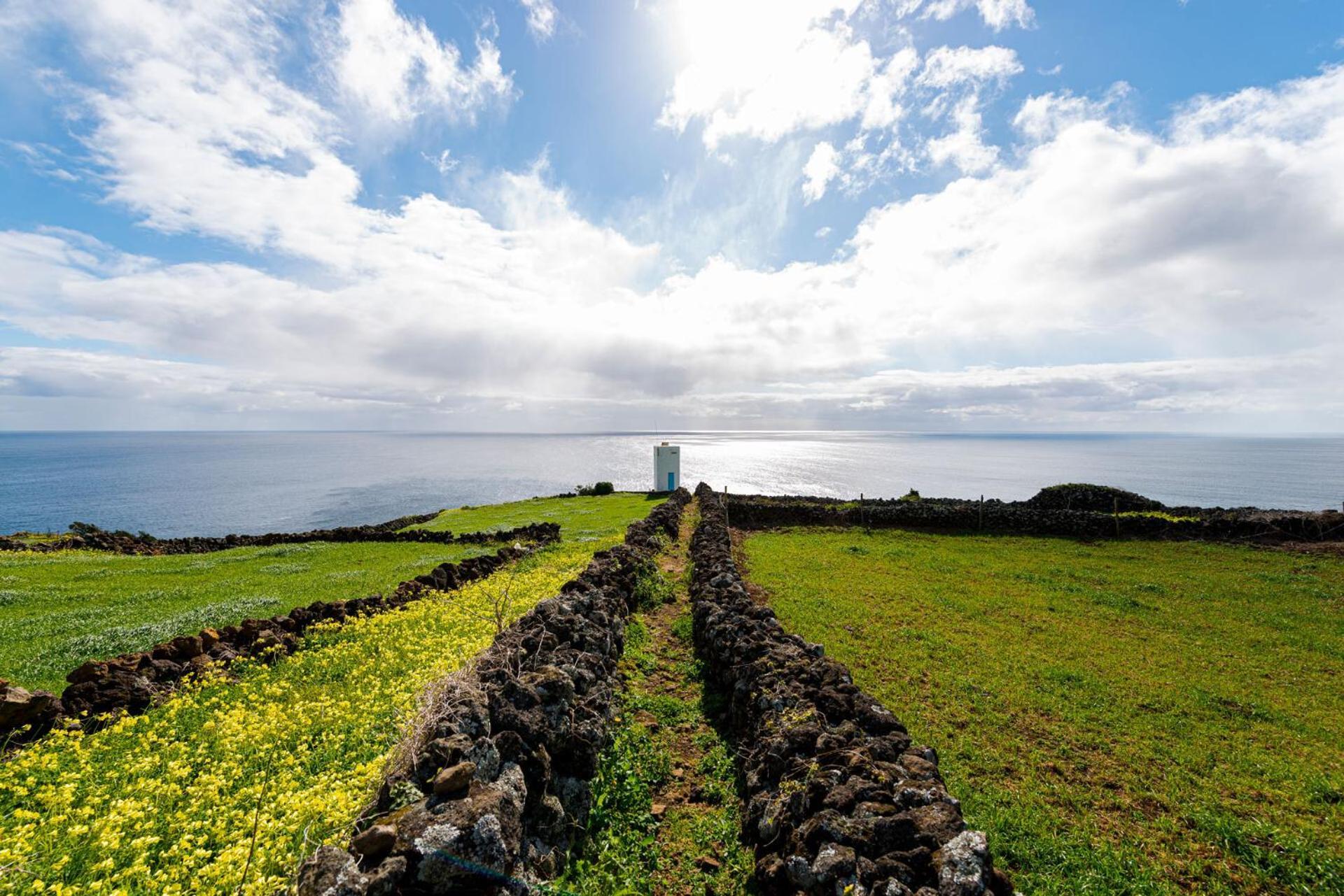 Engenho Hostel Lajes do Pico Kültér fotó